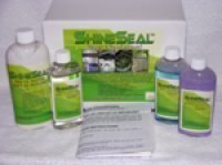 Chrome Polishing Kit